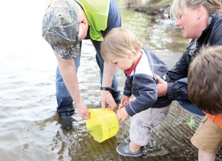 Spruce City Wildlife Association's Mark Chester assists Luke Hager, 1, and mom Susan, as they release a salmon fry into the Nechako River on Sunday afternoon during Spruce City Wildlife Association's Salmon Send-off. Citizen Photo by James Doyle