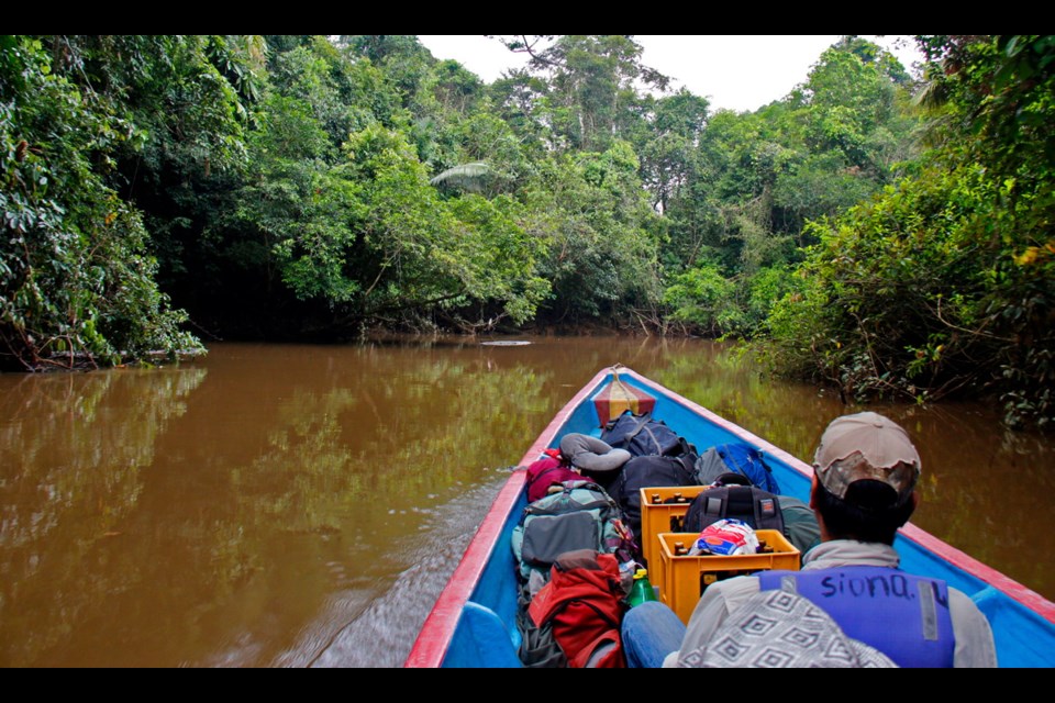 Going anywhere in the Cuyabeno Reserve in Ecuador's Amazon requires long but exhilarating boat rides. (Doug Hansen/TNS)