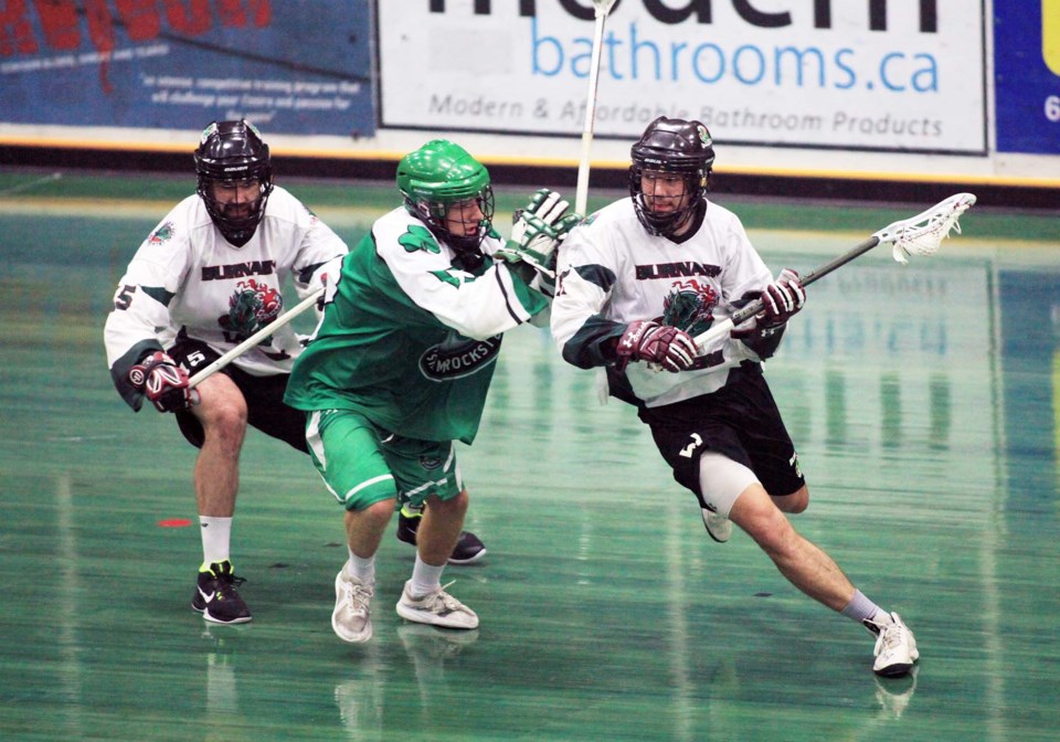 Lakers shamrocks