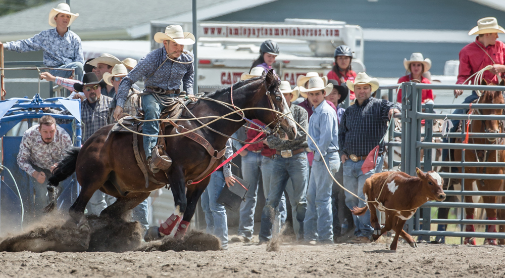 Win Your Way In To The National Black Rodeo Finals