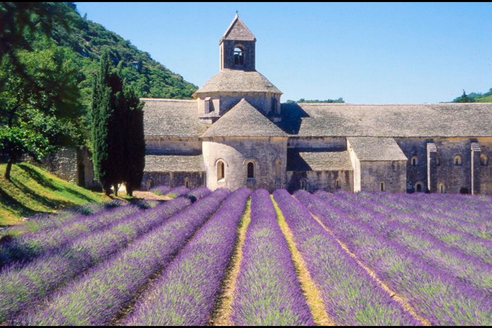 At Abbey Notre-Dame de S&eacute;nanque, near Gordes in Provence, monks divide their day between prayer and work, which includes tending their perfect rows of lavender.