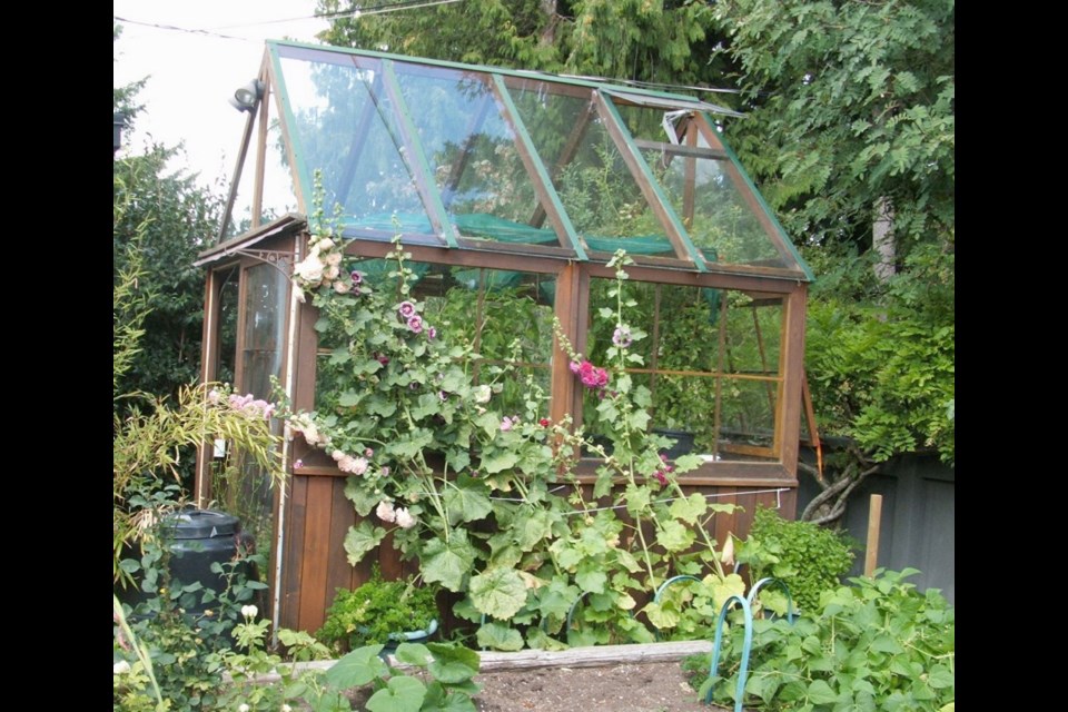 A greenhouse holding heat-loving edibles is surrounded by flowering plants.