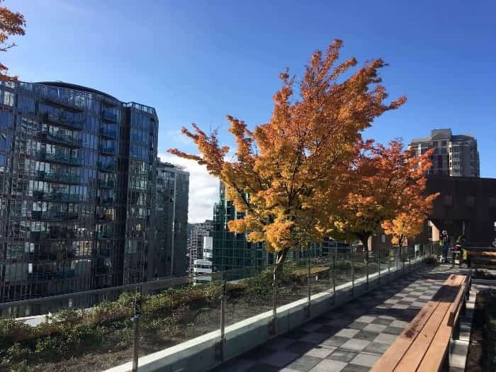 Here's a sneak peek of Vancouver Public Library rooftop before it opens _4