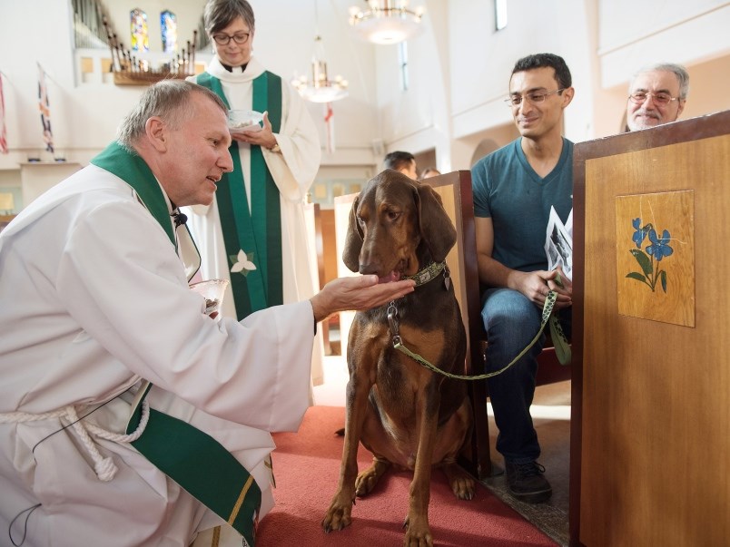 pet blessing