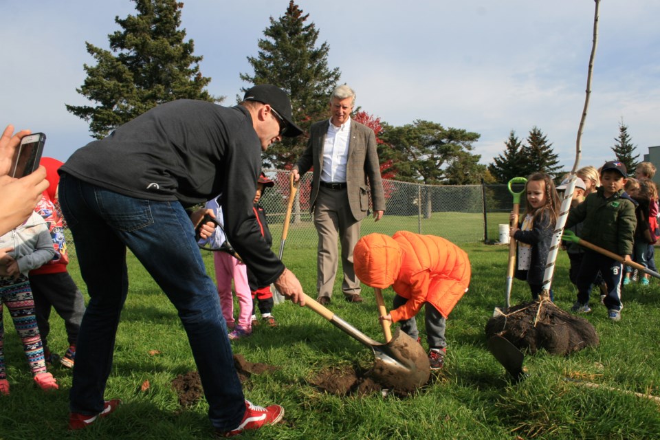 tree planting