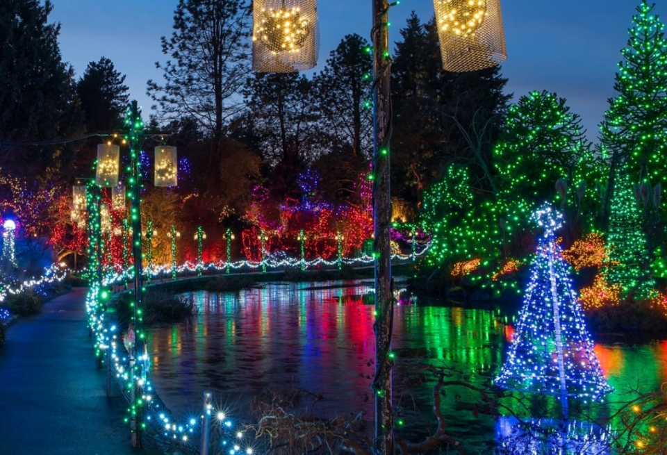 VanDusen Botanical Garden's Festival of Lights sure to enchant viewers