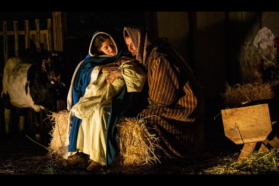 Explore: Live nativity at Topaz Park; forest walk welcomes solstice ...