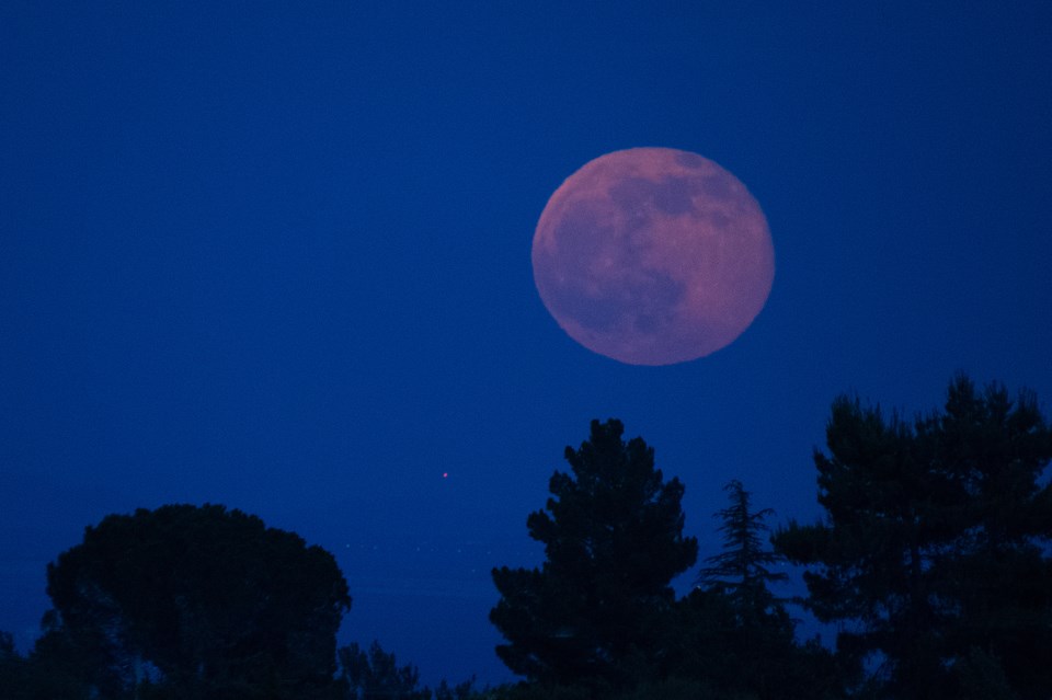 A Pink Moon is set to illuminate Vancouver skies next month Burnaby Now