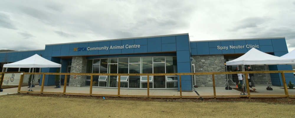 Spca Presents Lock In For Love Home Edition Kamloops This Week