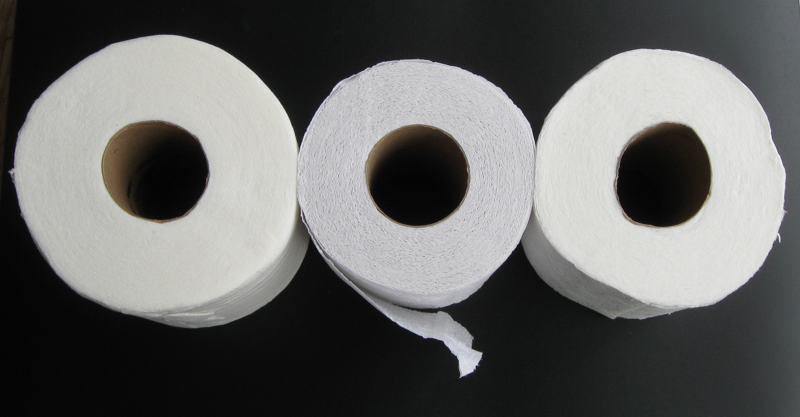 96 Rolls Toilet Paper Cheap Collection Save 51 Jlcatjgobmx