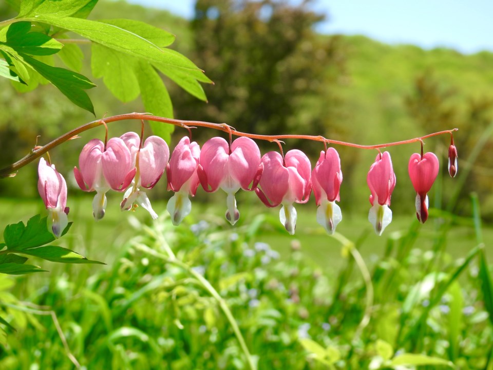 Spring offers understanding of spiritual seasons of life