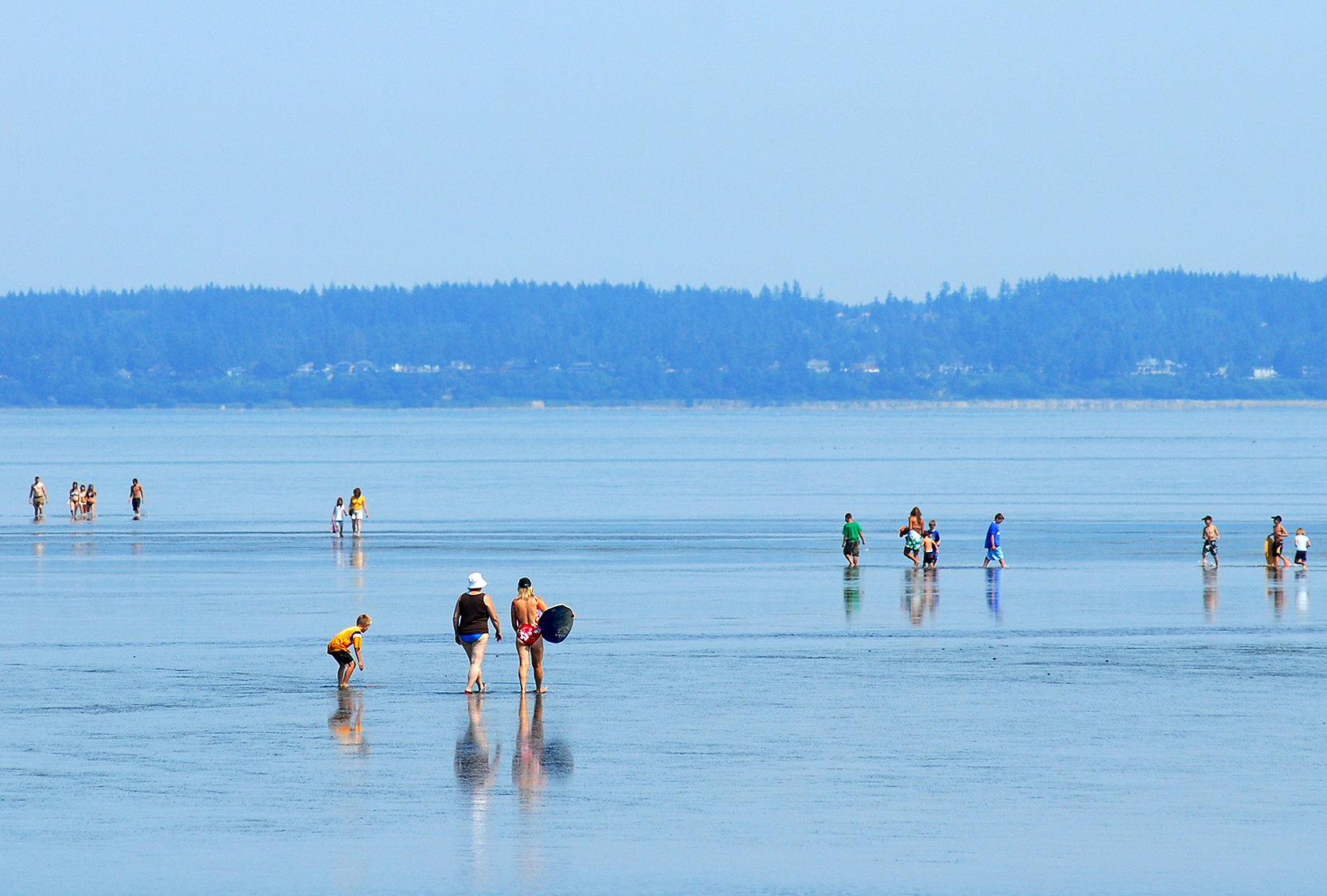 are dogs allowed at centennial beach delta