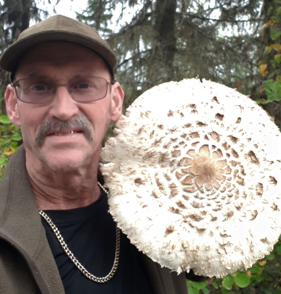 mushroom-photo.27_9262019.jpg