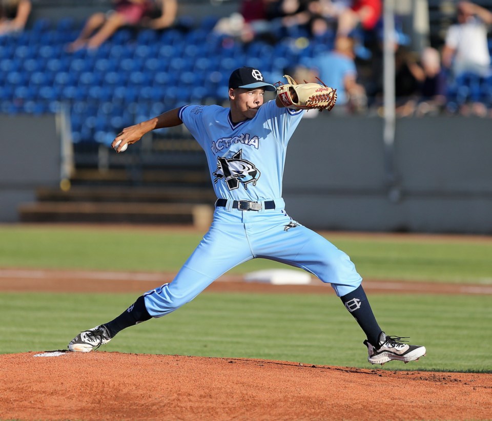 VKA-harbourcats-0183.jpg