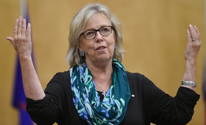Elizabeth May Steps Down As Green Party Leader Burnaby Now 1771