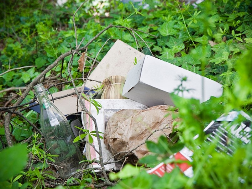 Illegal dumping in Powell River backcountry