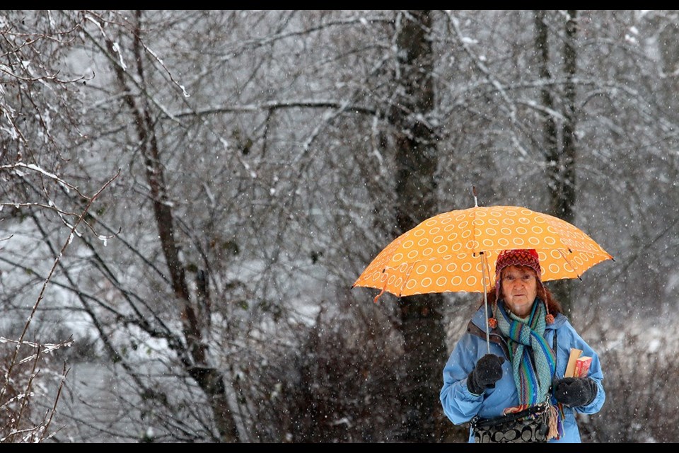 A woman walks through the snow at Como Lake park Friday, Jan. 10.