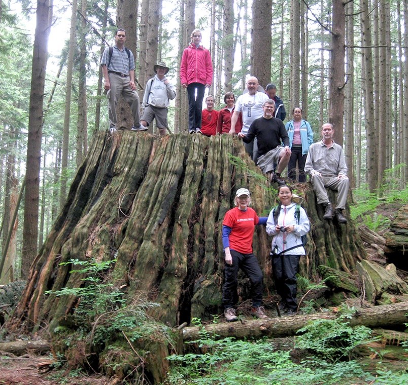 Burke Mountain Naturalists pose with the stump of an old-growth tree while hiking in Pinecone Burke