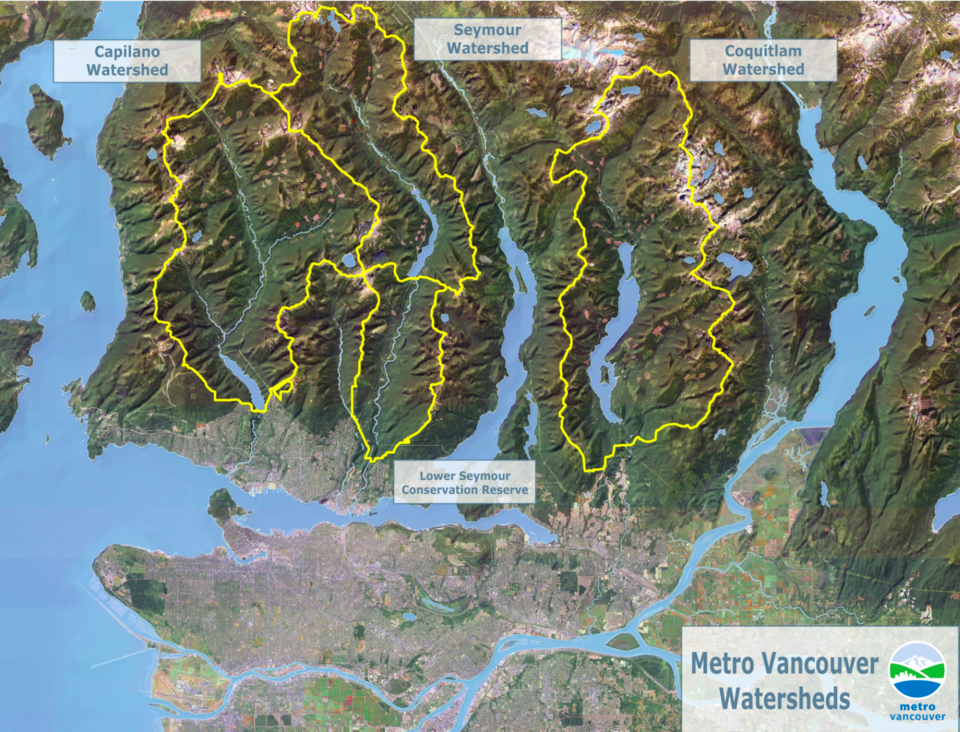 The upper Coquitlam watershed provides a third of all Metro Vancouver's water.