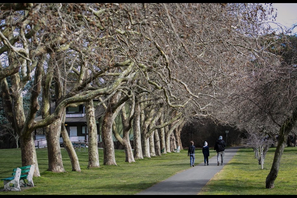 .Victoria has become the first city in saʴý to join the global Trees in Cities Challenge campaign. As a consequence the city has pledged to work with the community to plant 5,000 trees on public and private land by the end of 2020.