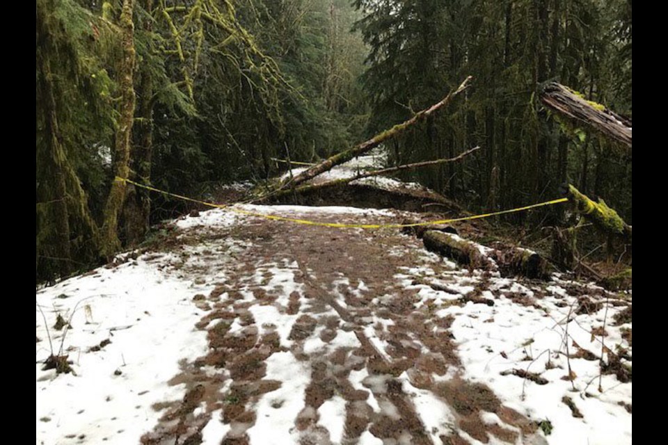 Sections of Lochside and Cowichan trails closed due to unstable, rain ...