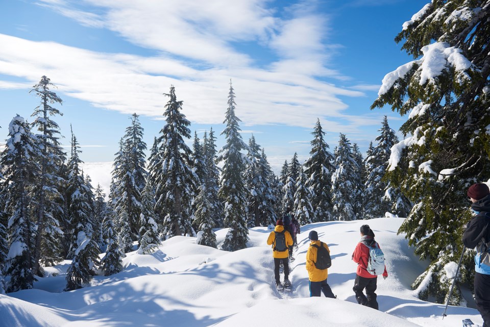 Each winter, Metro Vancouver’s Water Services department operates watershed snowshoe tours, during w
