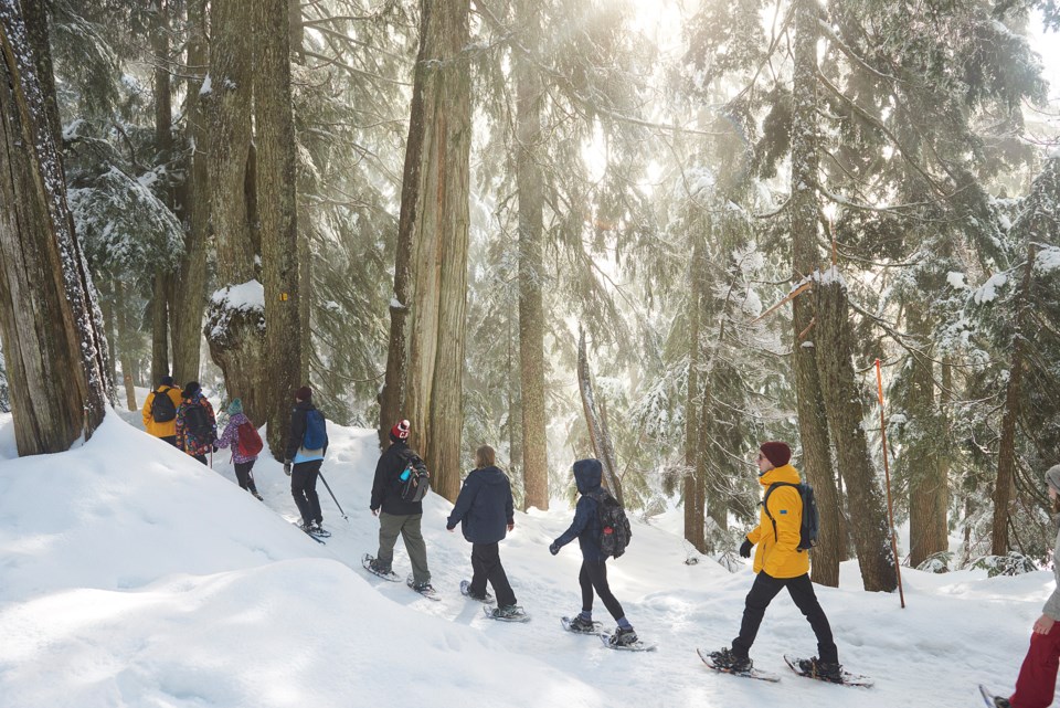 Metro Vancouver operates winter watershed snowshoe tours each year between February and March and su