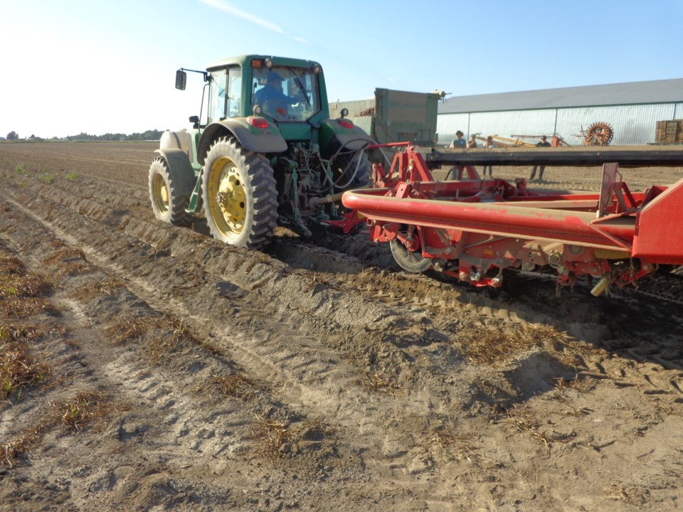 delta farmland