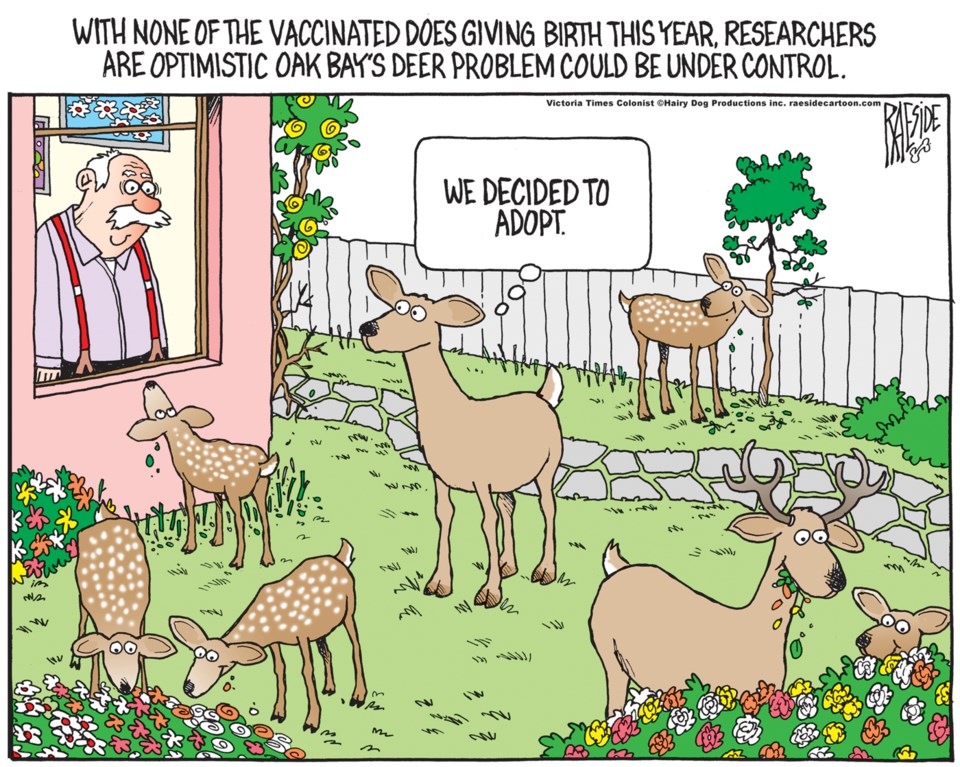 Adrian Raeside cartoon, June 12, 2020, Oak Bay deer