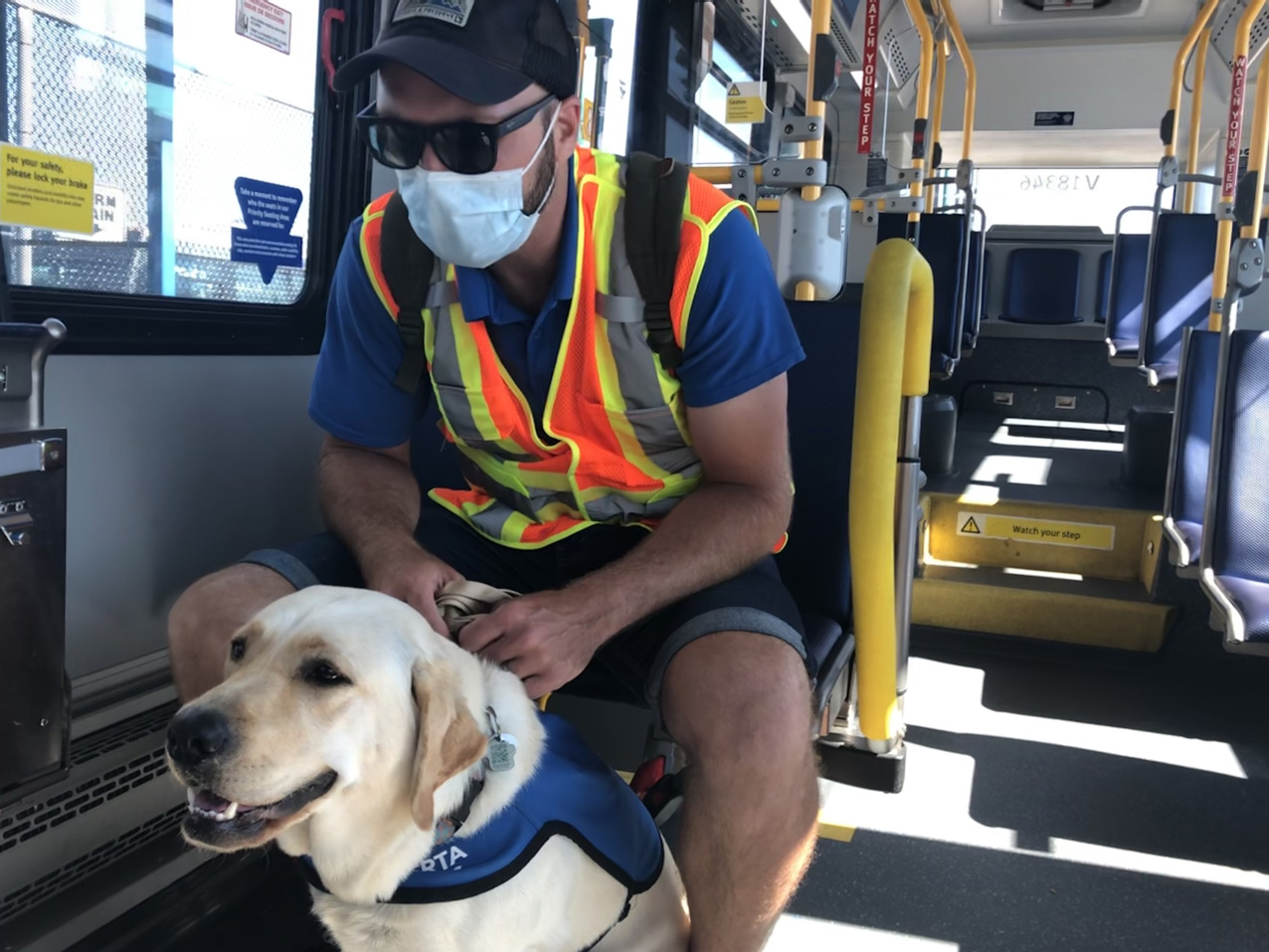 can dogs travel on translink