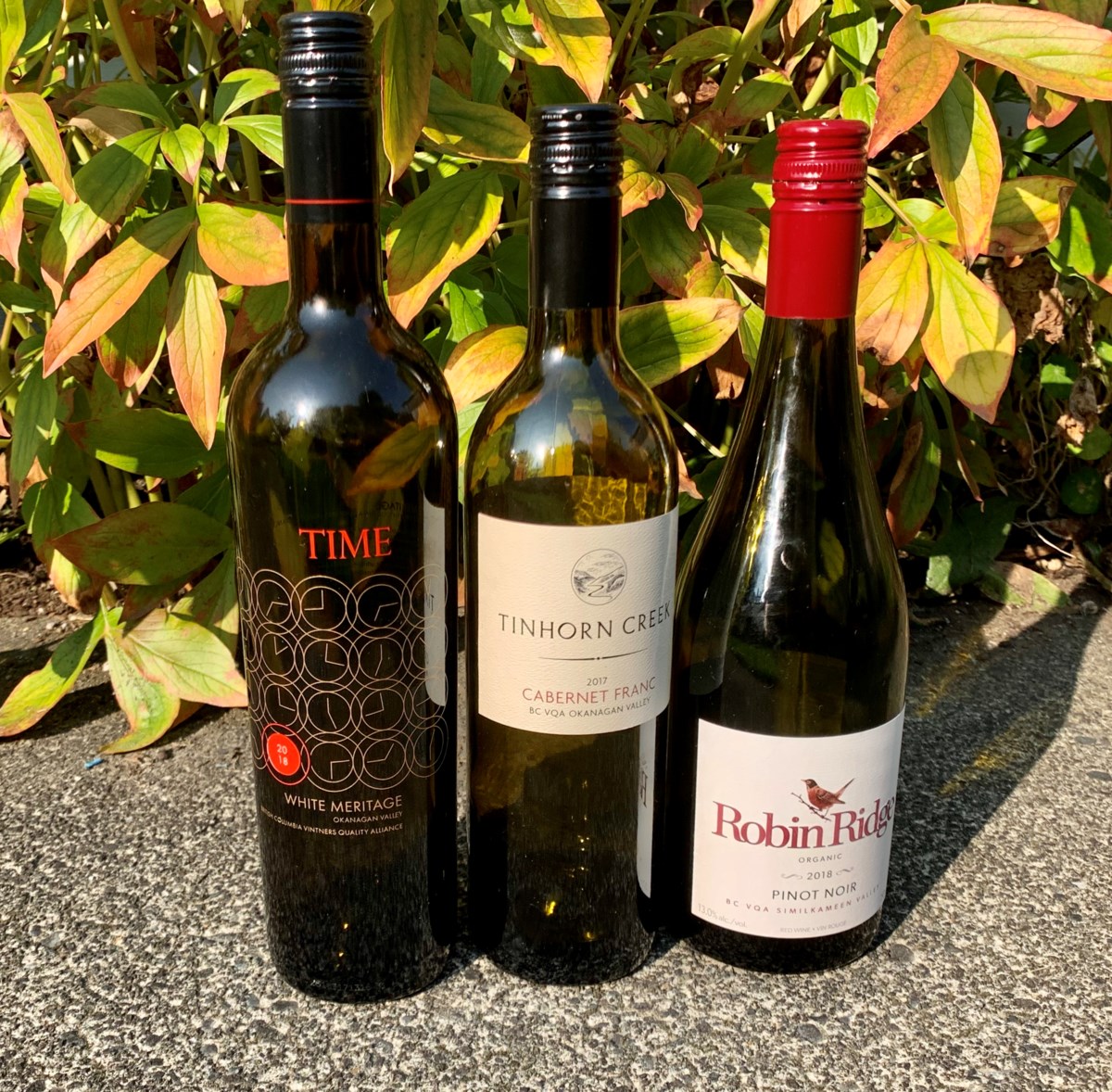 Column Trio of B.C. wines to enjoy this autumn Richmond News