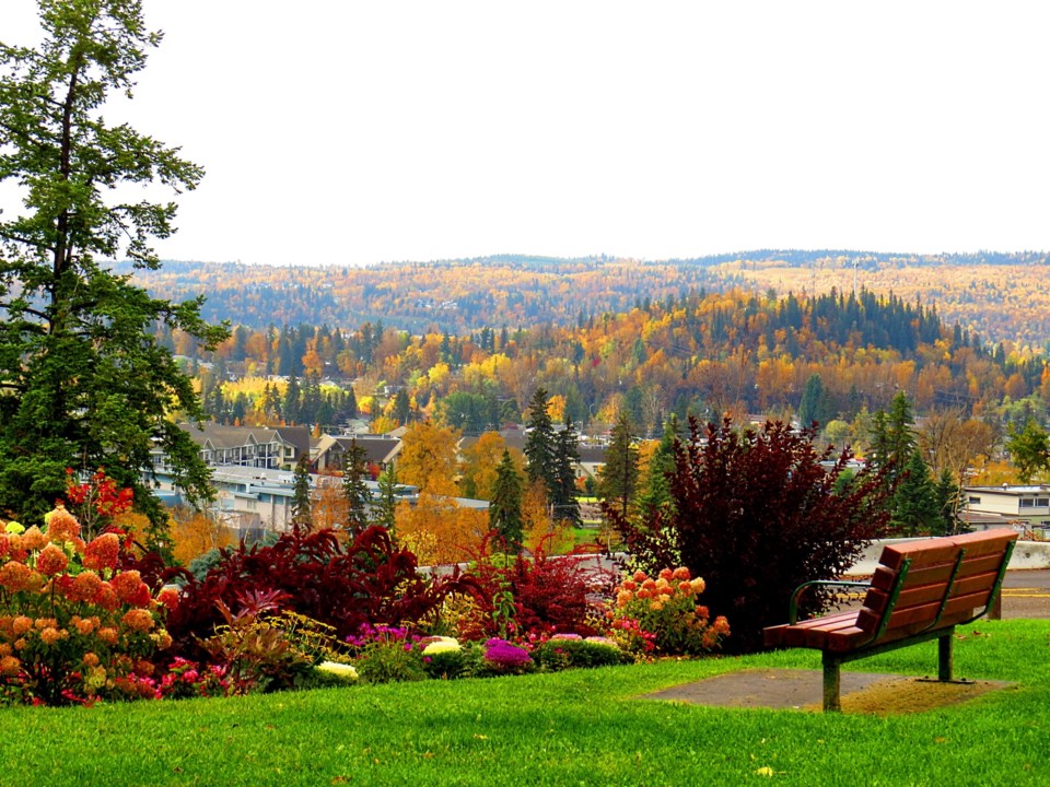 15 Fall Colours Connaught Hill Park Chuck Chin