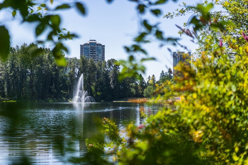 The city of Coquitlam is moving ahead with plans for its lake loop enhancement project, which could see upgrades to the trails around Lafarge Lake at Town Centre Park.