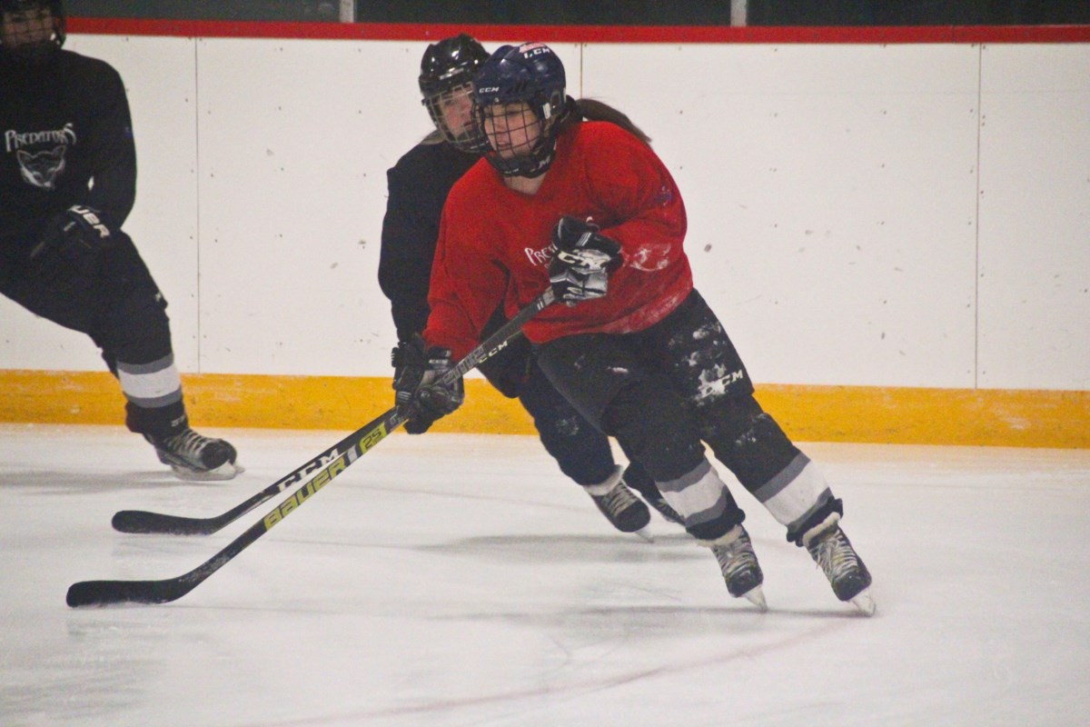 Predators Playing Competitive Hockey Thanks To New League, While Peers 