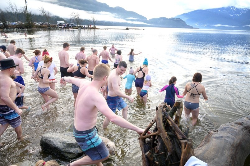 polar bear swim