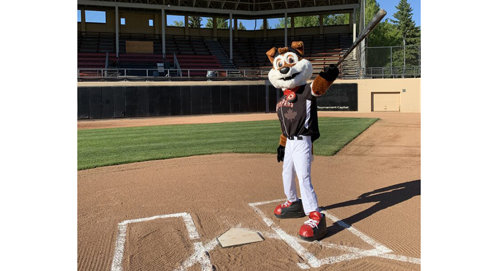 Lou Seal, Mascot Wiki