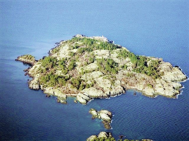 Lululemon founders donate $4 million to purchase untouched island