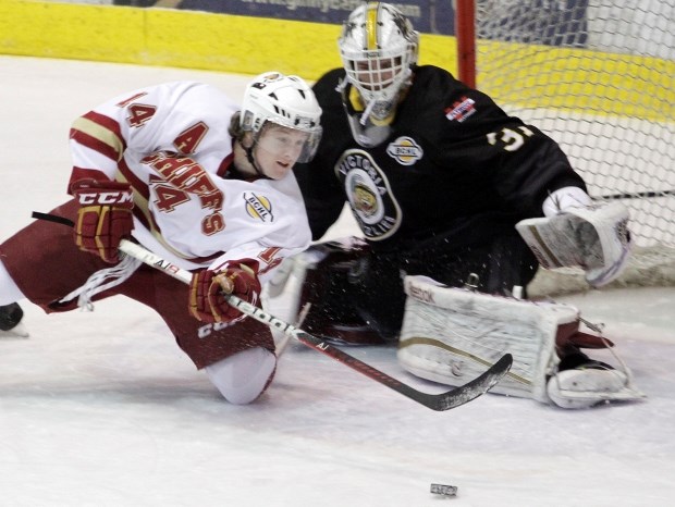 Hockey Victoria Grizzlies