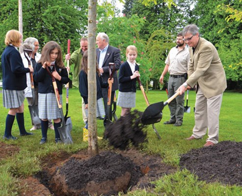 Dig in: Coun. Coun. Chuck Puchmayr helps fill up the hole dug to plant an English oak in honour of Queen Elizabeth II's Diamond jubilee. Students from Urban Academy joined city officials in the tree planting, which was held in Friendship Gardens.