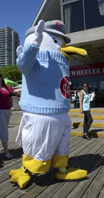 Salty Sam the Seagull, Port Metro Vancouver's mascot, was part of the FraserFest celebrations on Sunday at Westminster Quay.