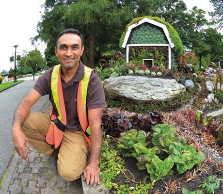 Duglas Cruz created a farm display with plants of various types near Queen's Park Arena. Duglas, originally from El Salvador, used a variety of vegetables and other plants to create the unique feature.