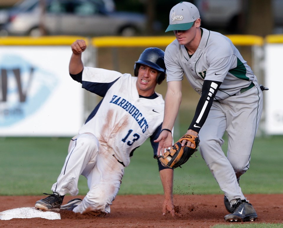 VKA- HarbourCats-11662.jpg