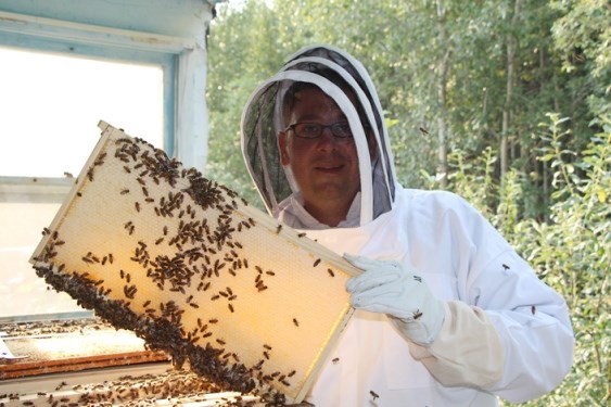 Powerful And Toxic Honey Bee Venom Is Injected, Not Sprayed, 52% OFF