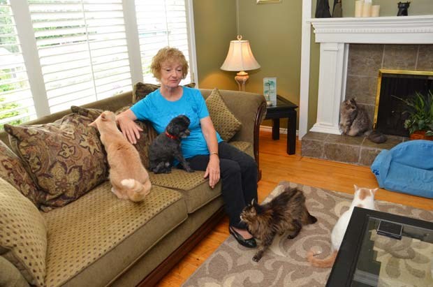 Burnaby resident Nikki Forbes, founder of Action for Animals, matches older cats with seniors.