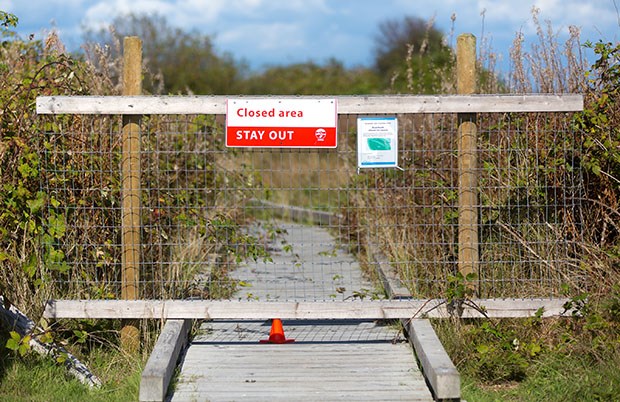 boardwalk