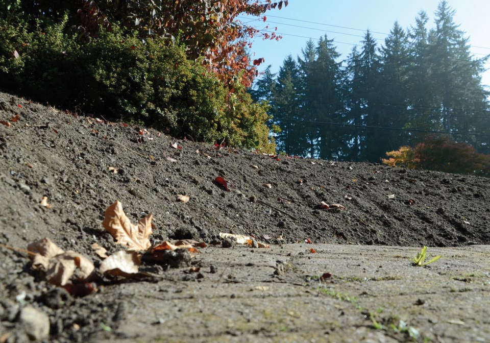 mound gardening