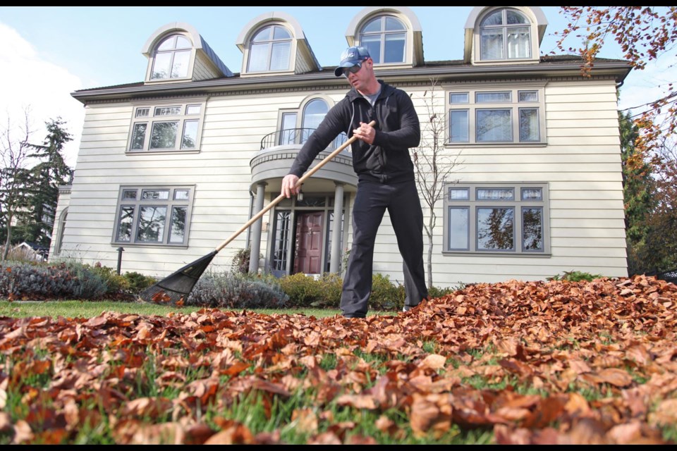 To serve: Australian army veteran, Phil Rodukoff helps out by raking the leaves at Honour House. The house is a home away from home for families of Canadian Forces personnel and first responders getting treatment at Metro Vancouver hospitals.