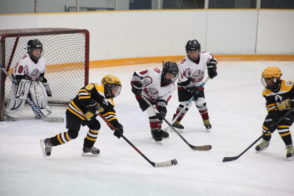 12-15-2013 BWC (black) vs Burnaby Minor, novice hockey at Burnaby Lake. Photo: Jason Lang