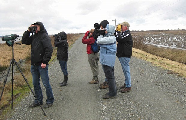 birders