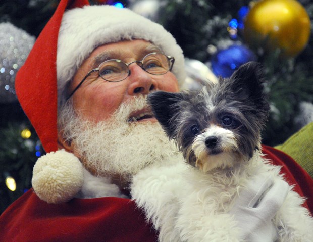 Willow has a close up with Saint Nick at Park Royal's north mall.